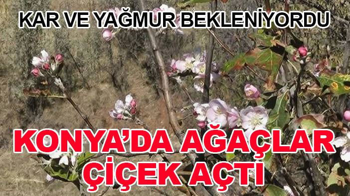 Konya’da bugün dikkat çeken gelişmeler 3